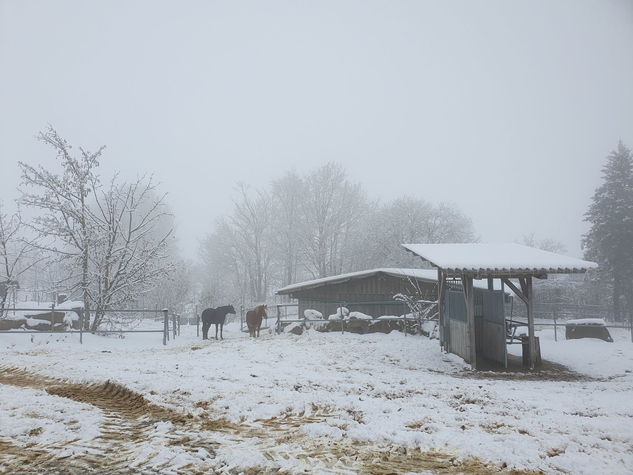 2023 12 Dezember 631